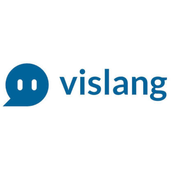 Vislang AI Lab
